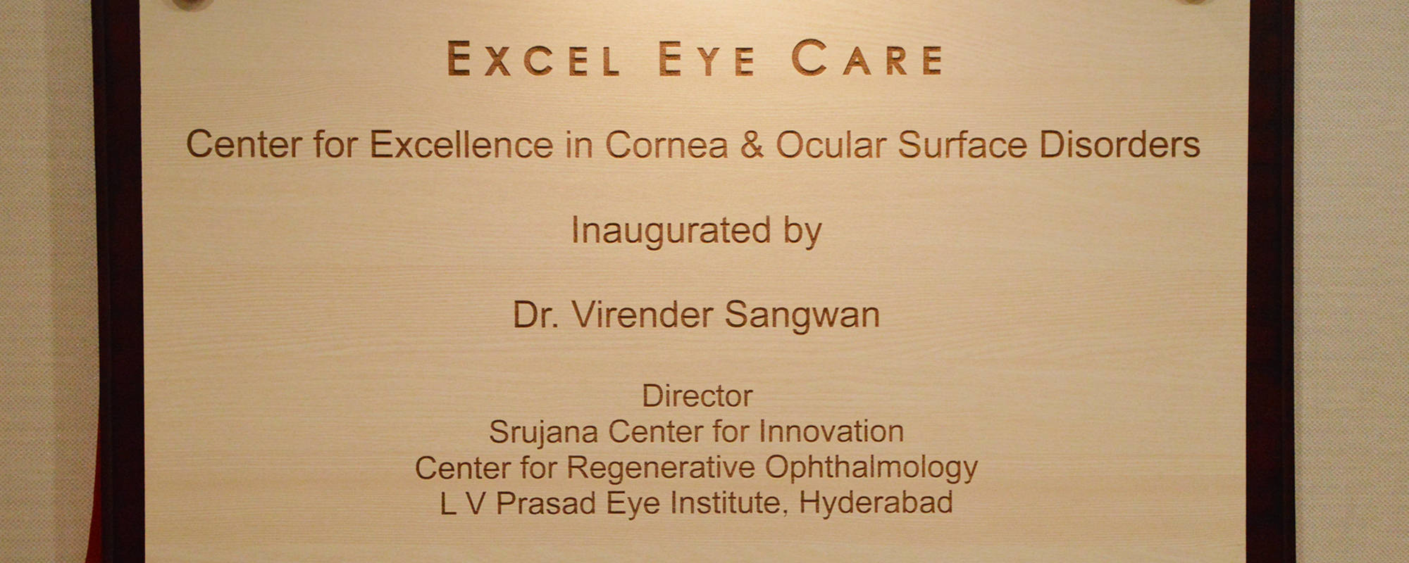 Center for Excellence in <span>Cornea & Ocular Surface Disorders</span>